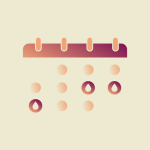 Safe period tracker: Best menstrual cycle apps for privacy