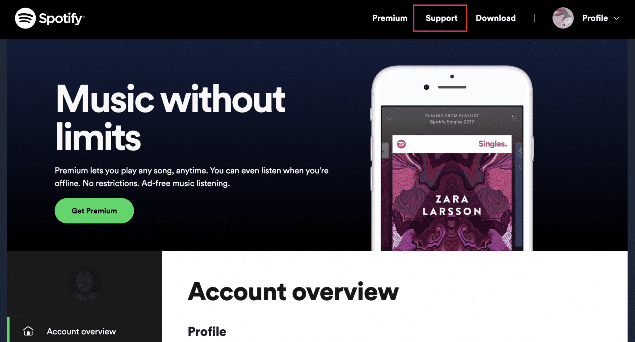 Delete Your Spotify Account - Step 2